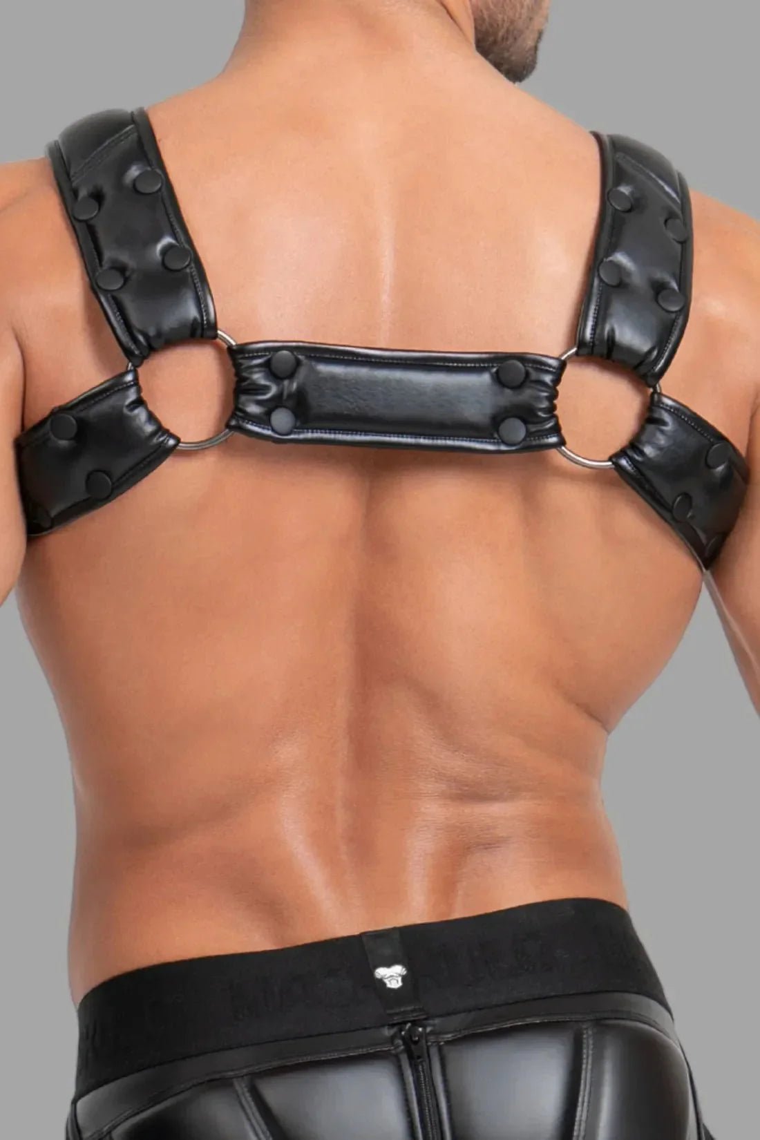 Bulldog Harness with 3D Logo. Black - MHR118 - Y5 - www.maskulo.berlin - Local store