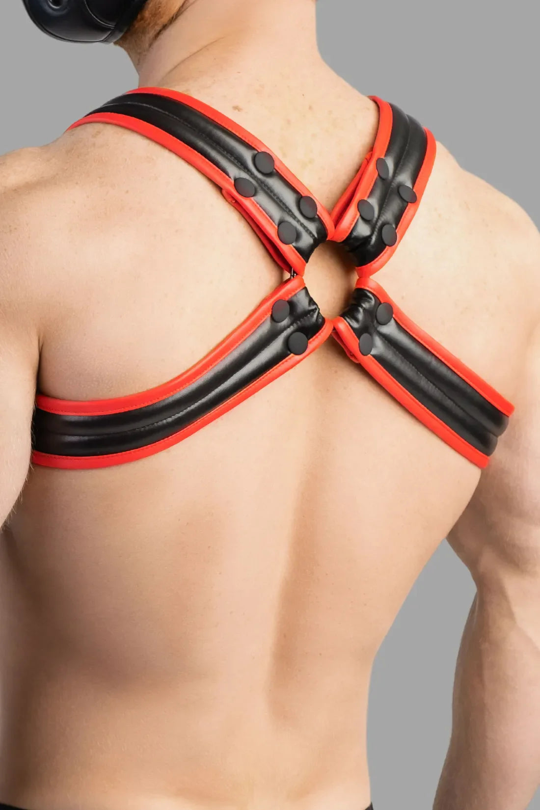 Armored Next. Men's Fetish Bulldog Harness. Red+Black