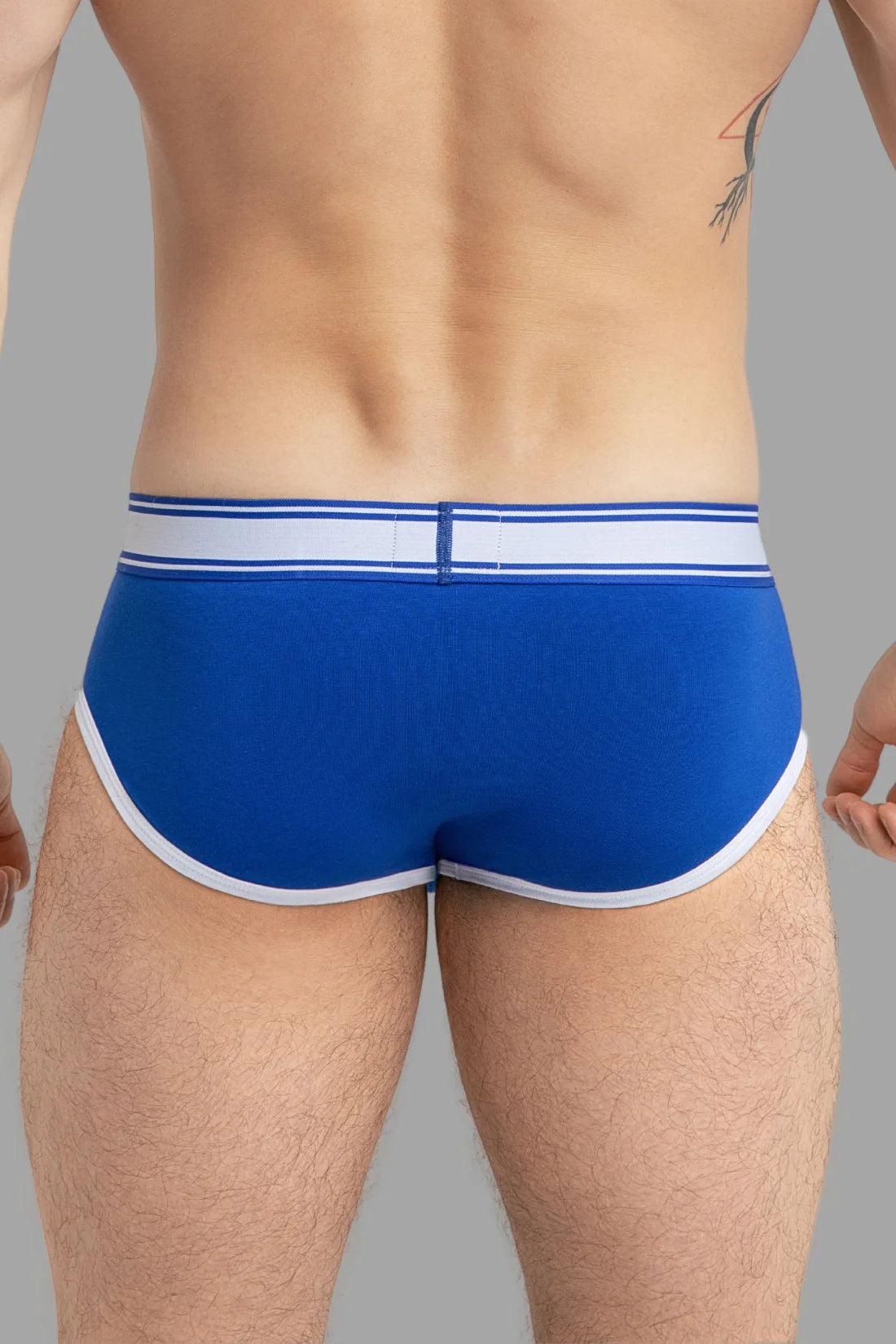 Marine Baumwoll-Briefs. Royal blue