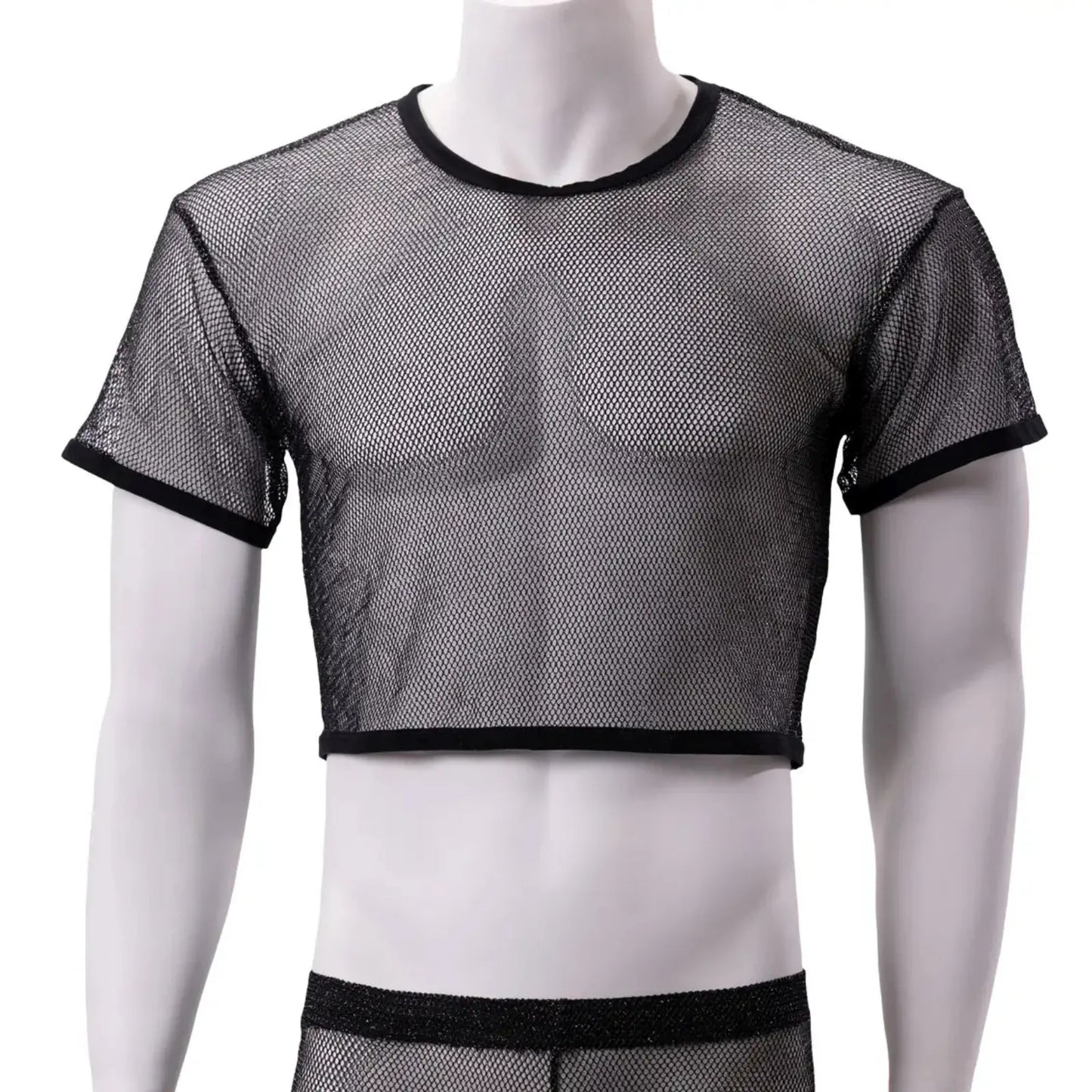 Mesh Crop Top with Silvery Shine