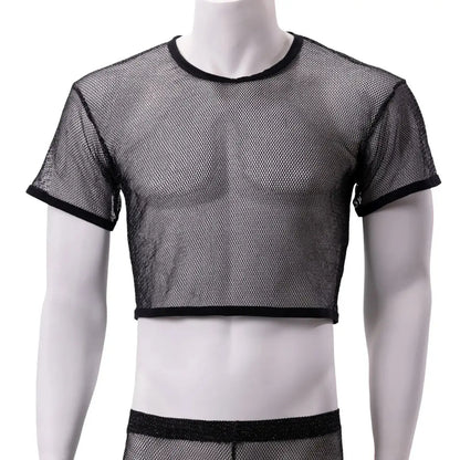Mesh Crop Top with Silvery Shine