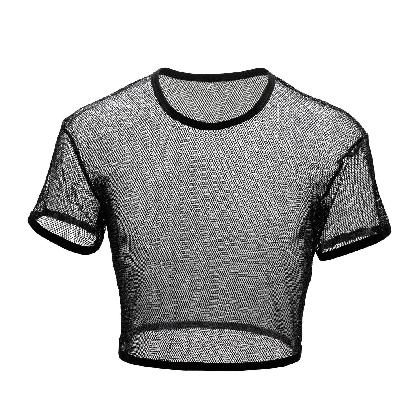 Mesh Crop Top with Silvery Shine