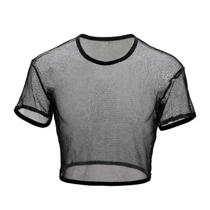 Mesh Crop Top with Silvery Shine