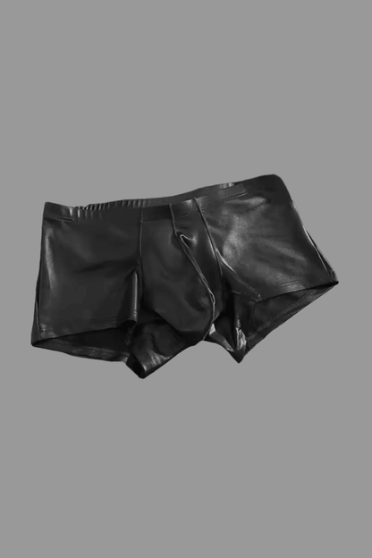 Shiny Polyester Trunk Shorts. Black - NTR317-Y1 - www.maskulo.berlin - Local store
