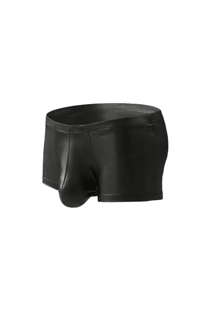 Shiny Polyester Trunk Shorts. Black - NTR317-Y1 - www.maskulo.berlin - Local store