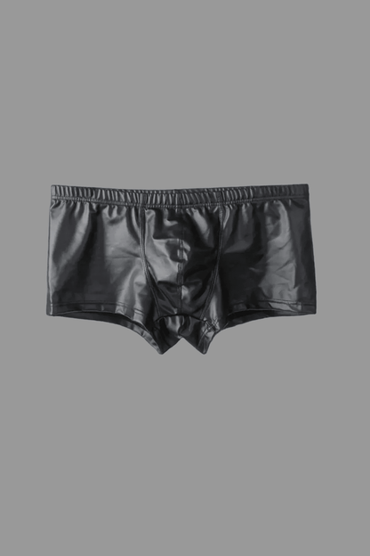 Shiny Polyester Trunk Shorts. Black - NTR317-Y1 - www.maskulo.berlin - Local store