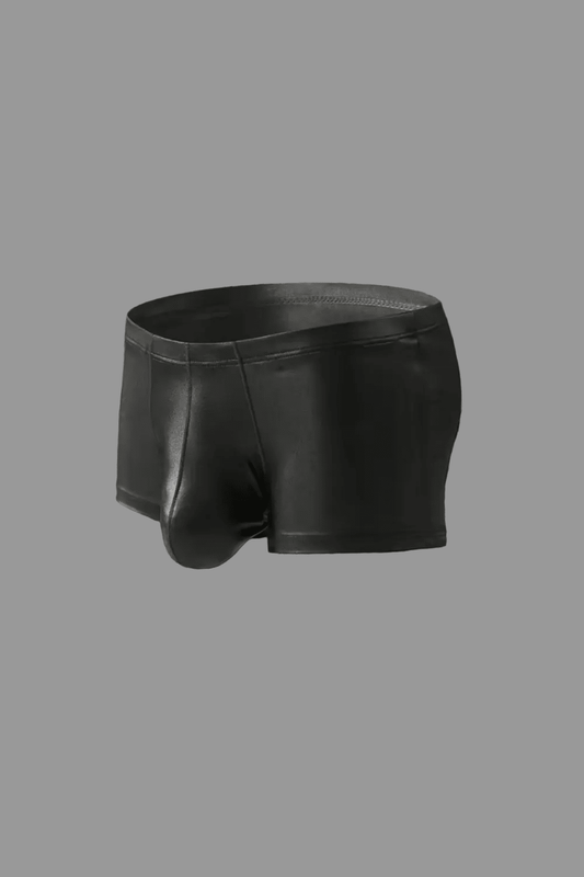 Shiny Polyester Trunk Shorts. Black - NTR317-Y1 - www.maskulo.berlin - Local store